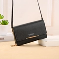 Black vegan leather crossbody wallet bag with dual zippers and gold hardware accents - H016 Standard / Black