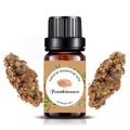 Frankincense essential oil 10ml in brown glass bottle with natural resin display - 10ml / Frankincense