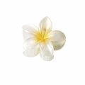 Pearlescent white and yellow plumeria flower hair claw clip with gradient finish - 8cm Pearly White-Yellow Core