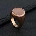 Minimalist rose gold titanium steel signet ring with a round flat top for men and women - US 6 / Ellipse / Rose Gold