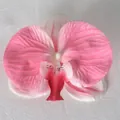 Testa di orchidea artificiale rosa sfumato con macchie viola per accessori per capelli - Pellicola 3D Rosa N. 4 (Grande)