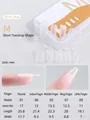 Short teardrop almond nail tips size M chart with clear frosted finish 100 piece box - Short Stiletto (Size M)