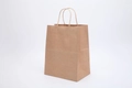 Single brown kraft paper gift bag with twisted rope handles on a clean white background - Medium Vertical 21*11*27cm / Natural Kraft