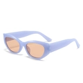 Vintage cat eye sunglasses with translucent purple frame and orange tinted lenses - Jelly Blue Frame Brown Lens
