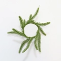 Top view of Norfolk pine PE needle wreath for wine bottle decoration and candle ring - Norfolk Pine Napkin Ring / Norfolk Pine Green