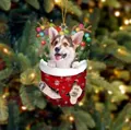 Kreativer Corgi-Hund in roter Weihnachtssocke-Anhänger mit festlichem Licht und Geweih - Corgi Typ 3