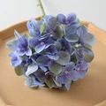 Film Hydrangea Blue Purple