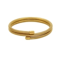 Elegant multi-layered gold snake bone spiral bracelet with textured metallic finish - Ordinary Band 2-Layer / Gold
