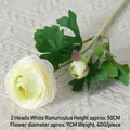 2-Head Ranunculus White