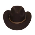 Detail of dark brown fedora hat with light brown leather band and metal buckle - M (56-58cm) / Coffee (165-A)