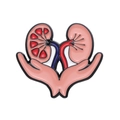 Medical anatomical kidney enamel brooch featuring hands holding kidneys in blue and red - Hands Holding Kidneys