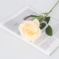 Champagne velvet rose faux flower with pearls placed on an open magazine on a white table - Round Silk Champagne
