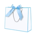 White paper gift bag with light blue trim and a matching satin bow on woven silver handles - Sky Blue Frame; Horizontal Extra Small Size 19*15*7 Ribbon Style