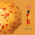 Ombrello pieghevole arancione con stampa pompelmo e custodia protettiva coordinata - Ombrello manuale standard a 8 stecche frutta - Arancia