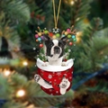 Boston Terrier in roter Weihnachtstasche Ornament mit Rentiergeweih und goldener Schnur - Boston Terrier Typ 2