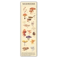 Vintage botanical mushroom poster with classic illustrations on beige background wall hanging - Style 8 / 40x150cm