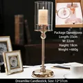 Golden metal candle holder with glass shade and slender stand for elegant home decor - Large (No Candle) / Dreamy Gold