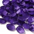 Silk rose petals in deep purple finish for wedding and party decorations - Dark Purple (21)