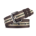 Brown striped canvas belt with classic metal pin buckle and eyelets on white background - L120cm W3.8cm / Coffee Striped