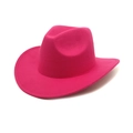 Retro rose red western cowboy wool felt hat with curved brim for outdoor fashion wear - M (56-58cm) / Rose Red