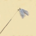 Fairy cat wand toy with grey feathers, silver handle, bells and pearl beads - Grey Fairy Feather