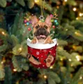 Christbaumschmuck mit französischer Bulldogge und Rentiergeweih im roten Weihnachtssocken - Französische Bulldogge Typ 5