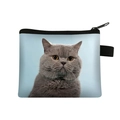 Mini cat coin purse featuring a grey British Shorthair pattern with zipper closure - Gray Shorthair Cat