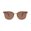 Foldable stylish sunglasses with transparent tea frames and brown tinted lenses - Spring Hinge + Premium Box + Cloth / Champagne