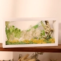 Rectangular white 3D frame with preserved white hydrangeas and green moss decor - 26x13x6cm / White