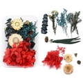 Detailed macro view of assorted colorful dried flowers, leaves and pine cones for DIY crafts - 11 Dried Flower 1 Box 37g