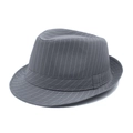Dark grey pinstripe fedora hat with matching band and classic brim for men - 60CM / Gray