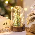 Christmas glass dome decor with miniature green tree and warm LED lights on wood base - Christmas Tree Dome
