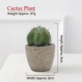 Artificial mini cactus in grey stone-textured pot for Nordic home decor, 9cm height - Cactus Ball-18923