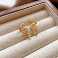 Close-up of golden dragon earrings with cubic zirconia in a wooden jewelry box - 14# Silver Pin - Golden Dragon / Gold Yellow