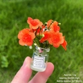 Miniature orange artificial flower in a glass bottle with Good Luck label for decor - [Luminous] Orange Begonia Flower