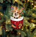 Weihnachtsanhänger Corgi-Hund in roter Socke hängend an einem Tannenbaumzweig - Corgi Typ 4