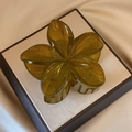 Amber translucent resin plumeria hair claw clip with glossy five-petal floral design - Dark Green [8cm Large]