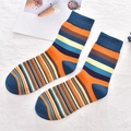 Classic colorful striped cotton crew socks with blue heel and toe for men - 38-45 / Blue Multicolor