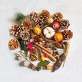 Natural pine cones, cinnamon sticks and dried flowers for Christmas DIY craft decor - Set 1 - Combination A (Assorted Pack)