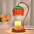 Elegant strawberry glass candle warmer lamp with wooden base and gold metal arm in red - Strawberry Color Glass Shade + Walnut Base / Knob Dimming / US Plug