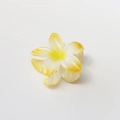 Close-up of white and yellow plumeria hair claw clip with a glossy resin finish - Glossy White Yellow Gradient