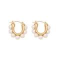 Golden C-shaped stainless steel earrings featuring elegant white pearl embellishments - U-Shaped Pearl Style (3#)