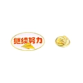 Pink oval enamel pin with golden paper plane and motivational text Keep Working Hard - Keep Working Hard
