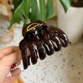 Detailed macro view of dark brown high-gloss hair claw clip with golden metal spring - Chocolate