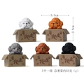 Set of 5 miniature resin teddy dog figurines in cardboard box bases for garden decor - Black Grey White Coffee And Yellow Teddy Set