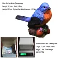 Resin blue bird figurine on acorn base with size dimensions and weight display - Blue Bird on Acorn