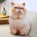 Realistic orange exotic shorthair cat plush pillow placed on a beige fabric sofa - Yellow Persian Cat 28*45cm