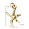 Golden starfish pendant charm 2x1.5cm made of stainless steel for DIY jewelry making - BXGPJ119-Beaded Starfish Pendant
