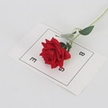 Single red velvet artificial rose with green leaves on white card for wedding decoration - Red (Small Velvet)