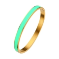 Golden stainless steel bangle with mint green enamel inlay and secure hinge clasp - 6MM Gold + Green